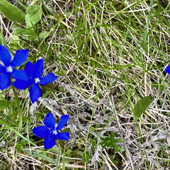 23-05-21 15-06-16 5524